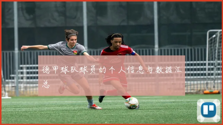 德甲球队球员的个人信息与数据汇总