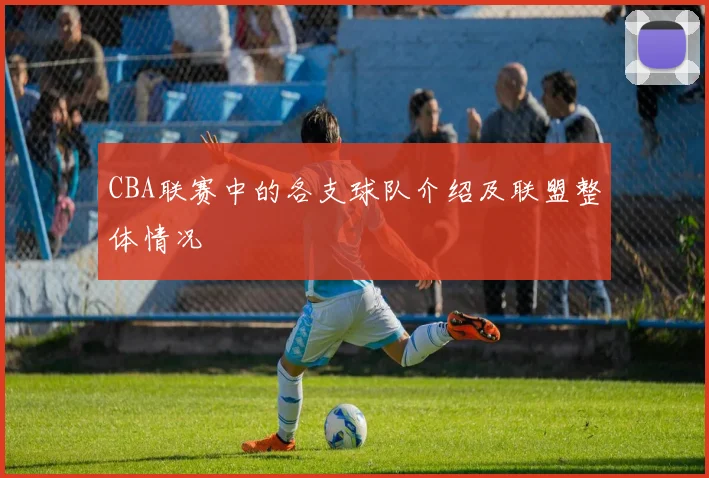 CBA联赛中的各支球队介绍及联盟整体情况