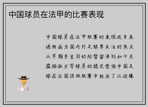 中国球员在法甲的比赛表现